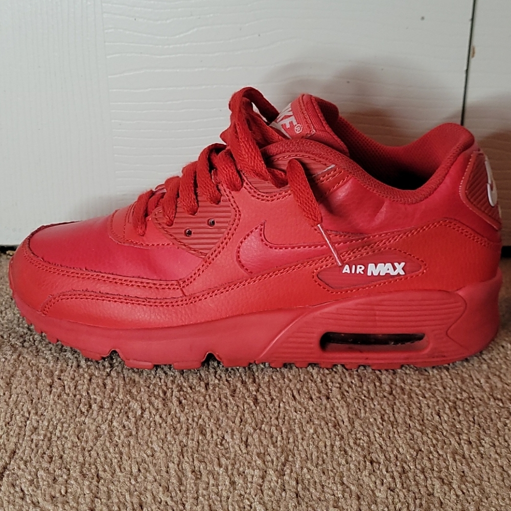 Nike Air Max Sneaker Shoes
